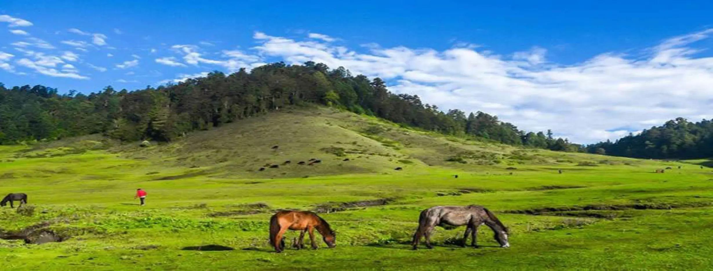 Image for National Park Trek